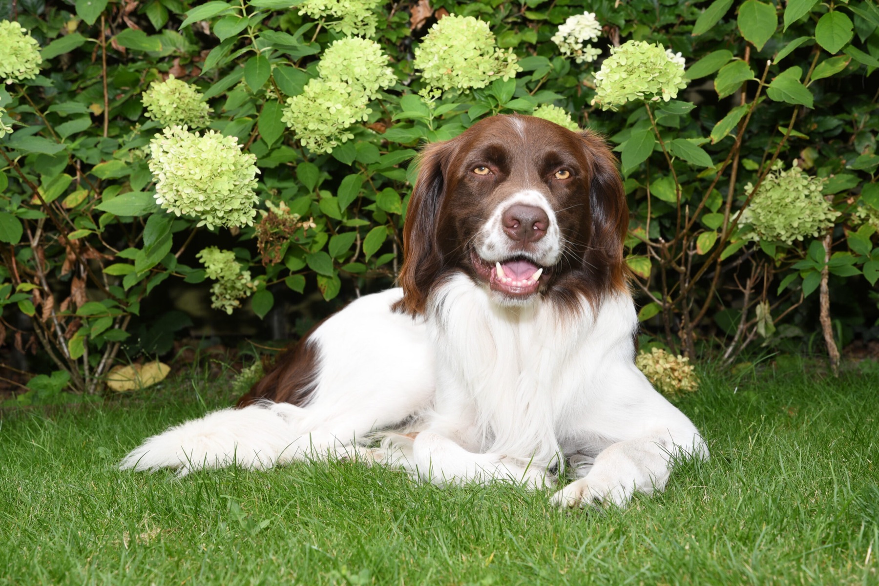 Claire lying in the garden